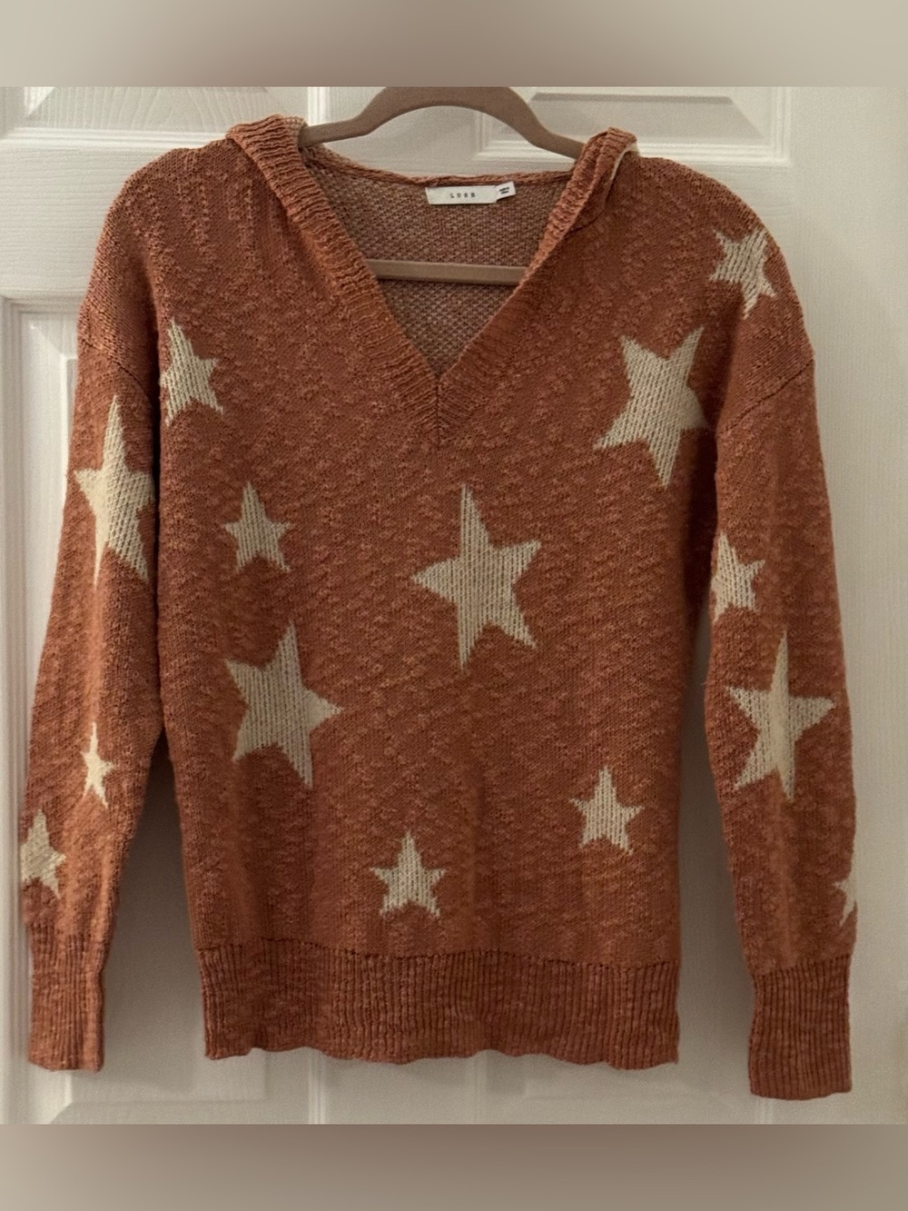 Lush V-Neck Mauve Hooded Knit Sweater Size S